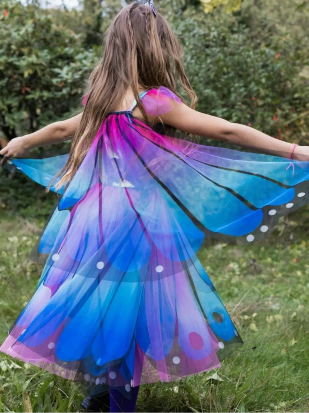 Butterfly /Fairy Wings dress.